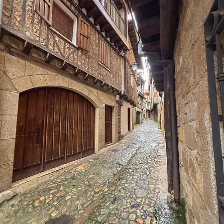 Panther Anita La Alberca (Salamanca)