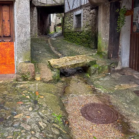 Panther Anita Appartamento