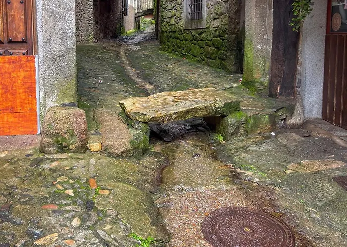 Panther Anita Lejlighed