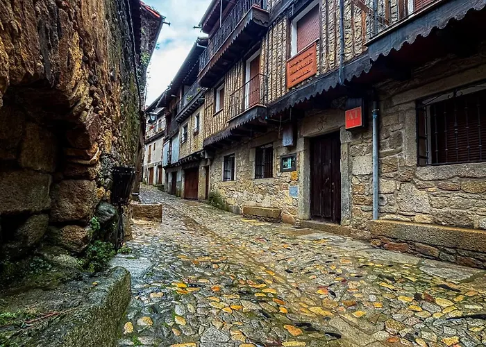 Panther Anita Lejlighed