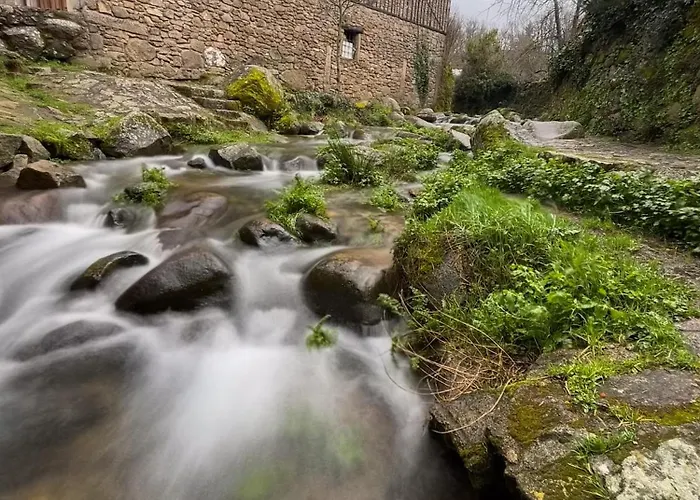 Lejlighed Panther Anita